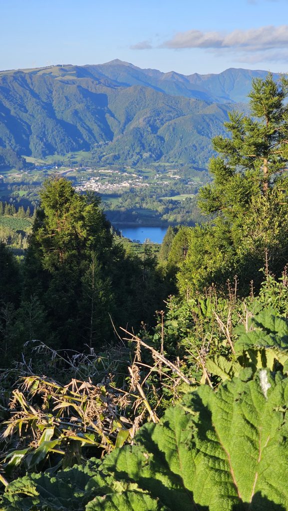 Castelo Branco (3)
