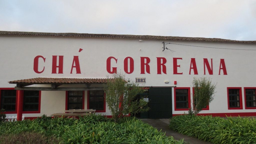 Gorreana (2)