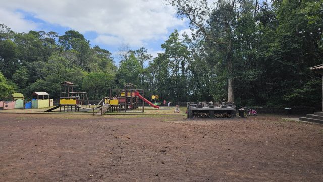 Pinheiro da Paz (2)