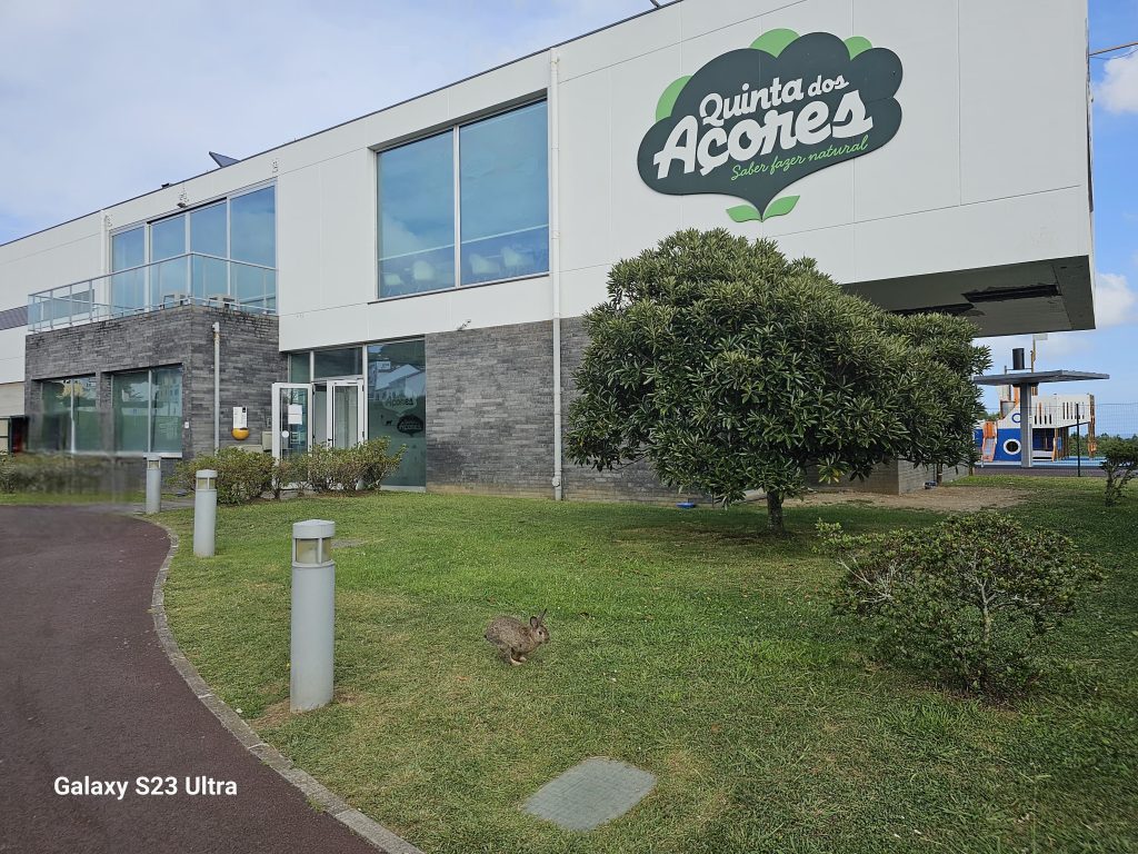 Quinta dos Açores (11)