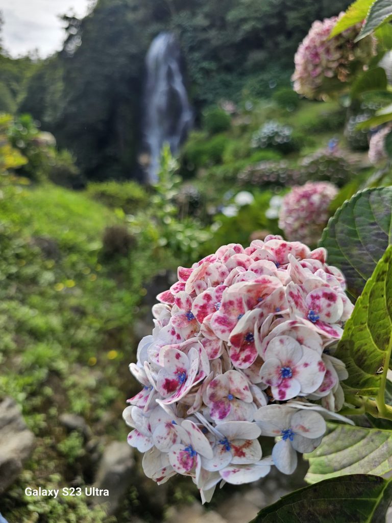 Ribeira dos Caldeiroes (3)