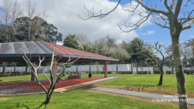 Parque Sec. XXI (2)