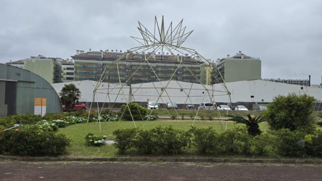 Plantação de Ananas (1)