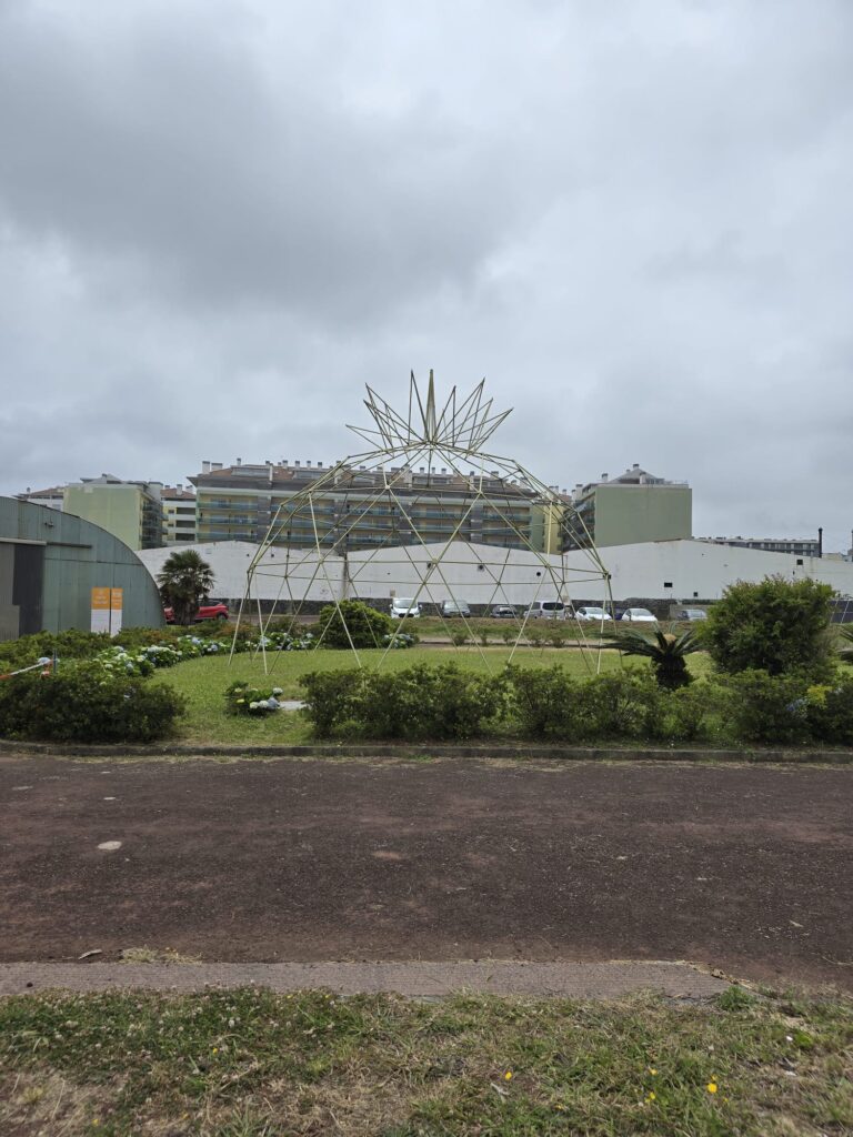 Plantação de Ananas (1)