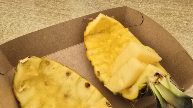 Plantação de Ananas (2)